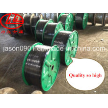Steel Wire, Stainless Steel Wire, High Carbon Steel Wire